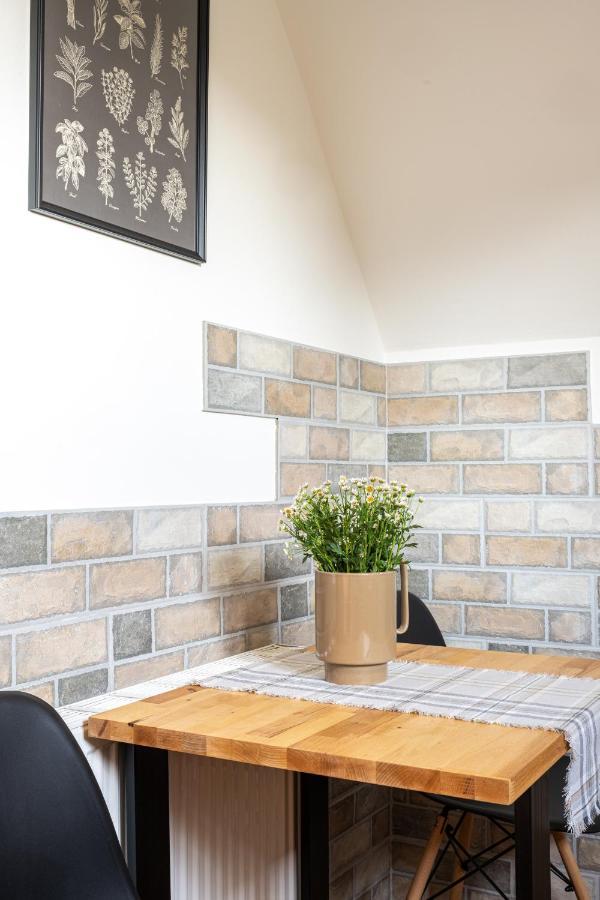 Apartament Tatry #Dobrylot ザコパネ エクステリア 写真